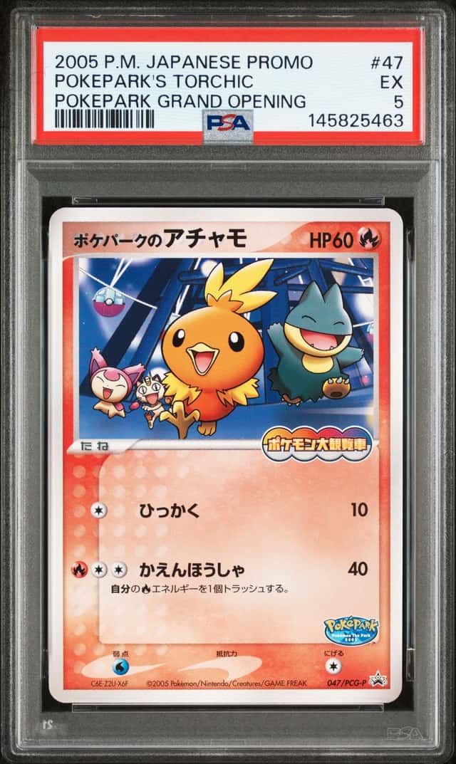 Pokepark's Torchic