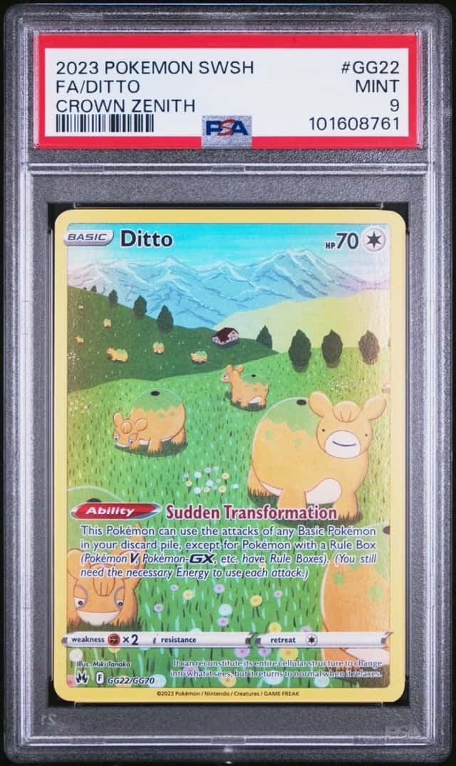 Ditto