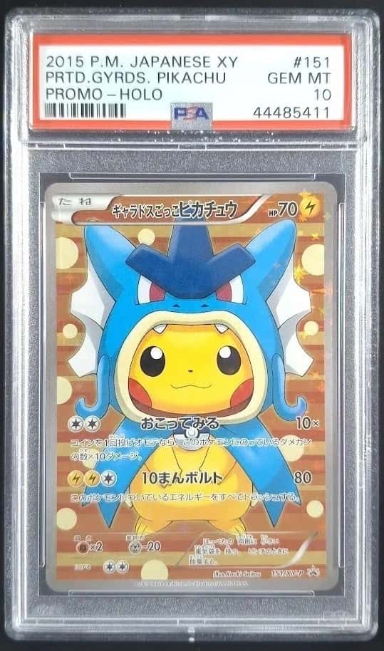 Pretend Gyarados Pikachu