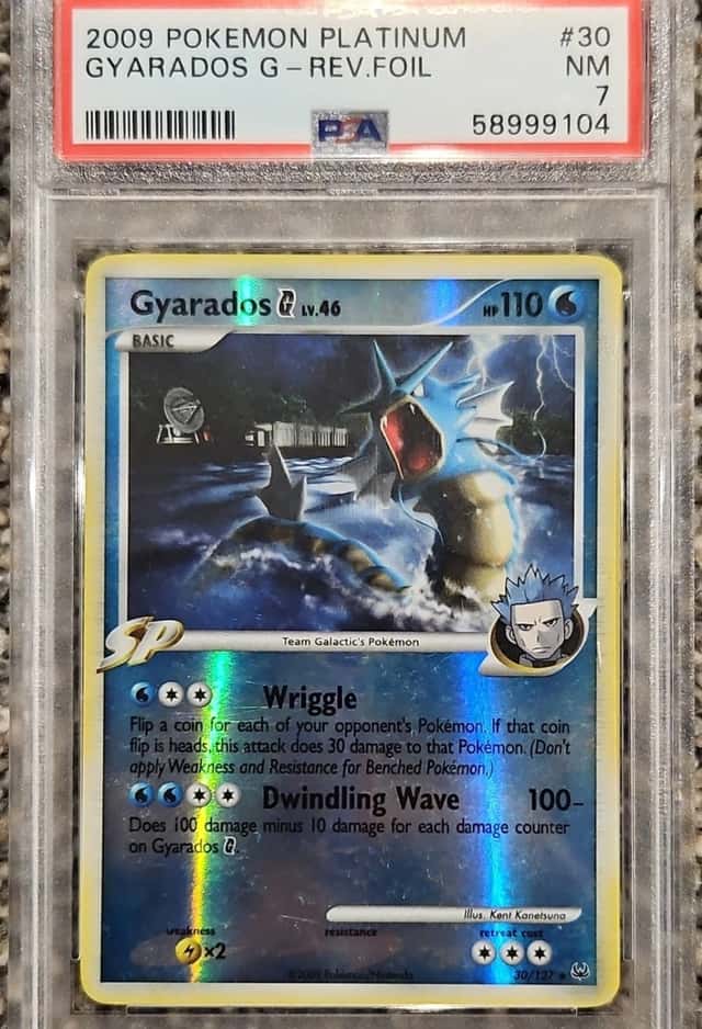 Gyarados G