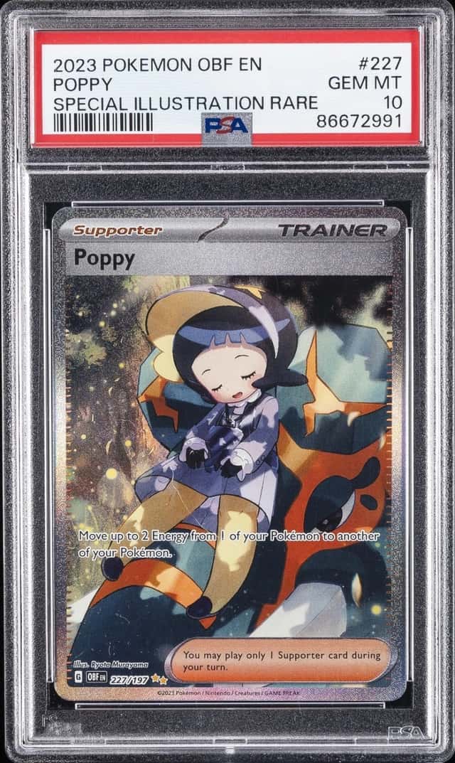 Poppy