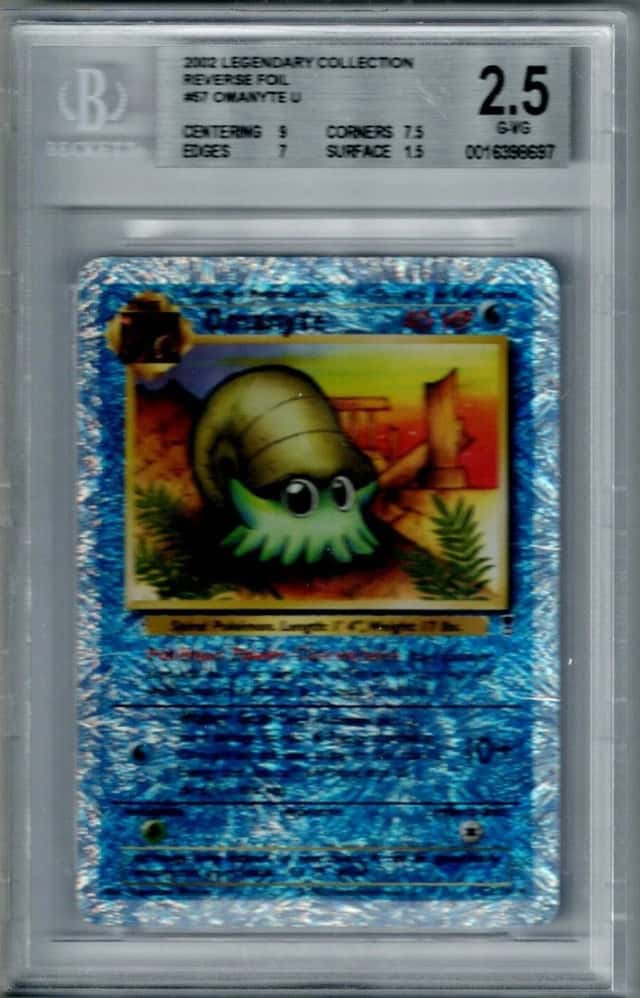 Omanyte