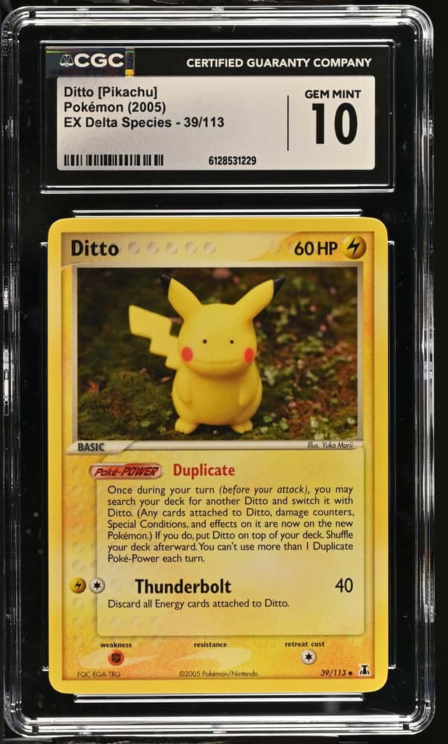 Ditto
