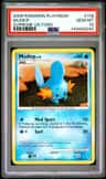 Mudkip