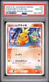 Pokepark'S Torchic