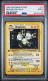 Magneton