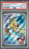 Turtwig