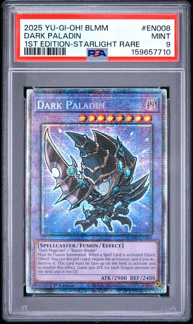 Dark Paladin