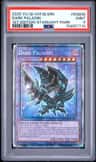 Dark Paladin