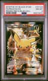 Pikachu Ex