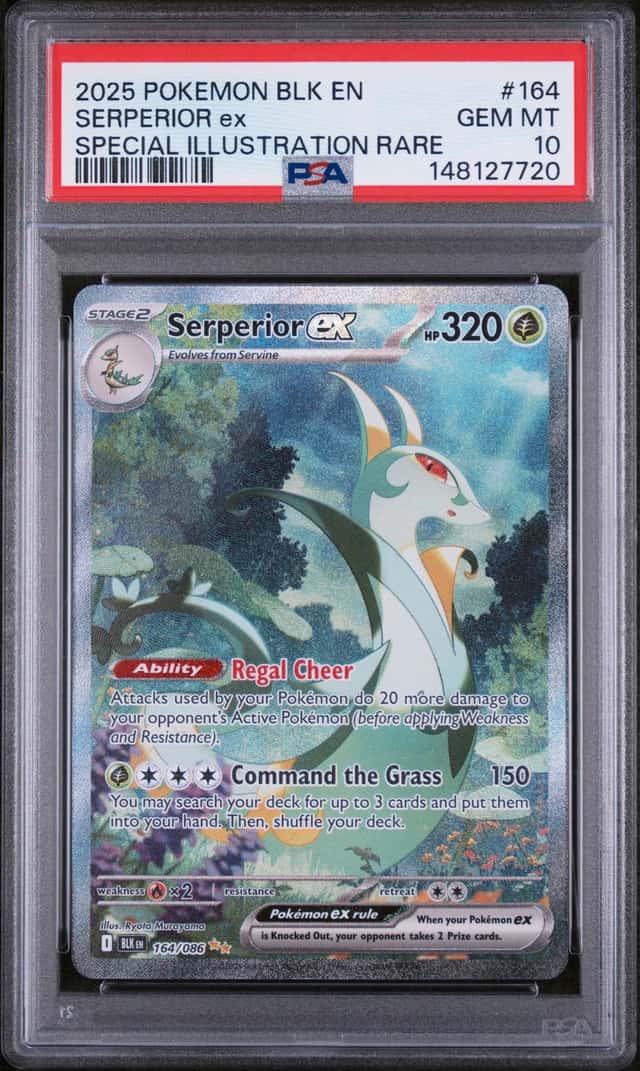 SERPERIOR ex
