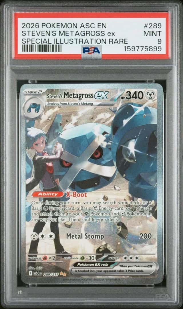 STEVEN'S METAGROSS ex