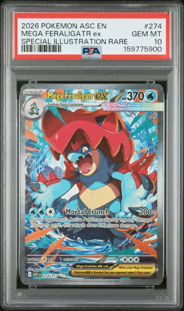 MEGA FERALIGATR ex