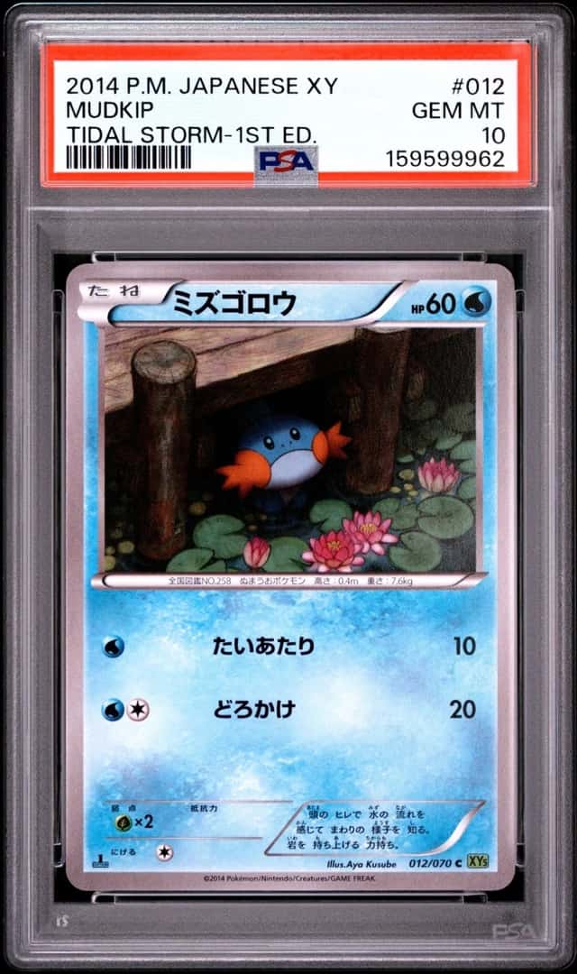 Mudkip
