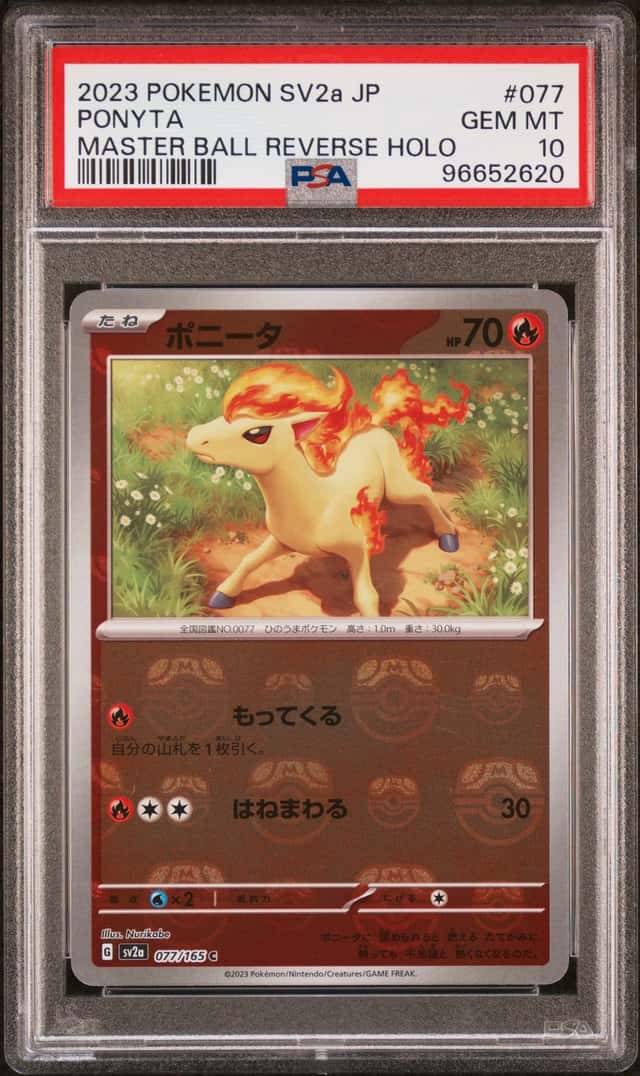 Ponyta
