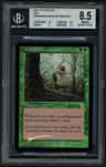 Verduran Enchantress R