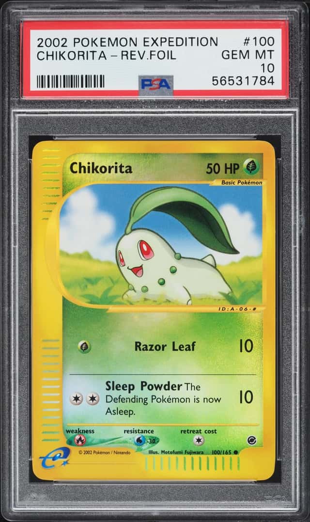 Chikorita