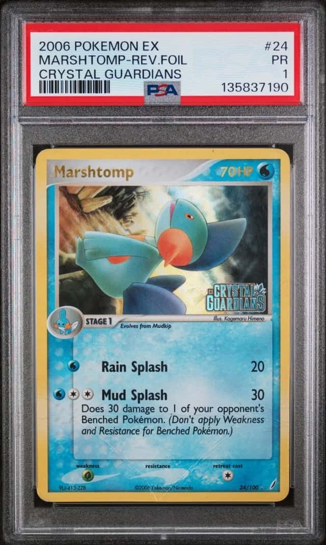 Marshtomp