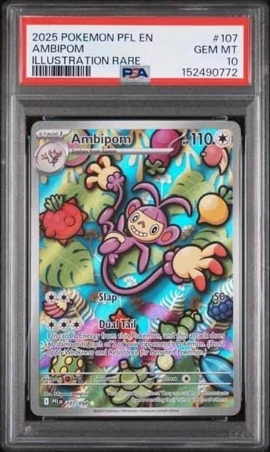Ambipom