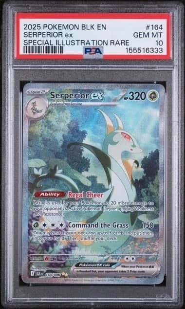 SERPERIOR ex