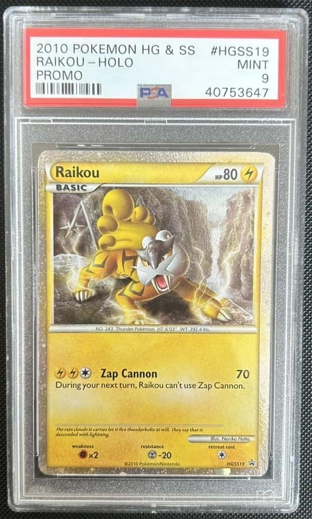 Raikou