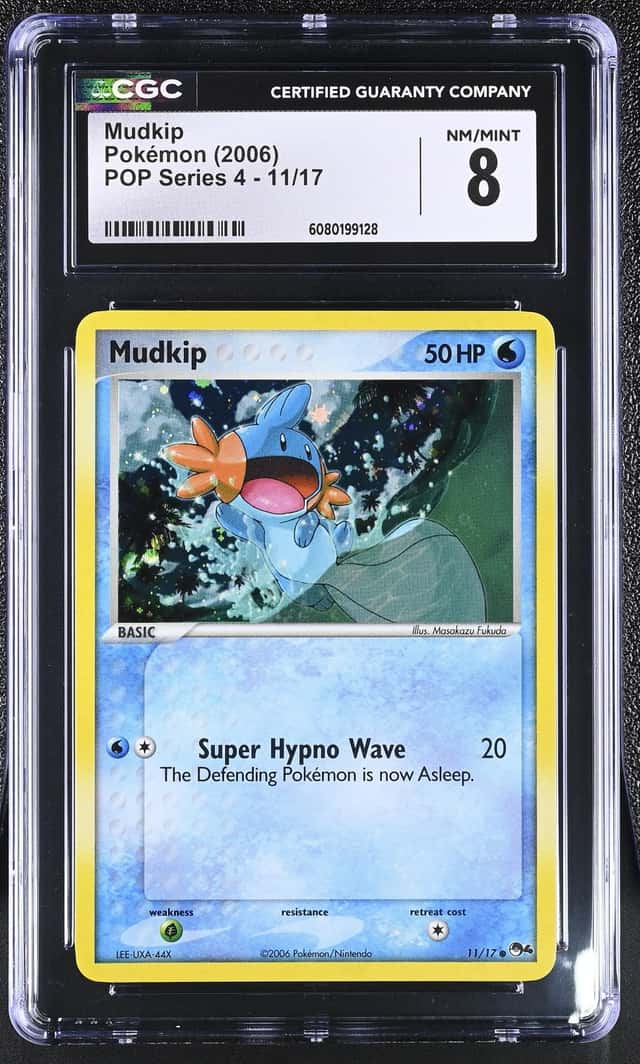 Mudkip