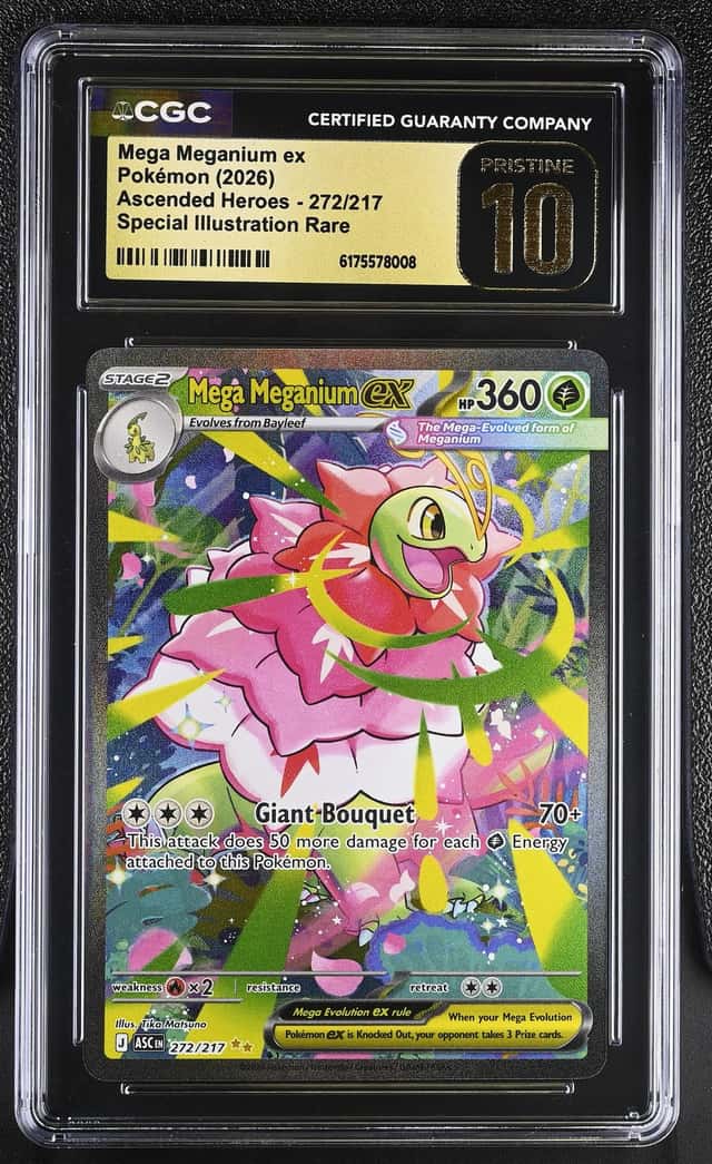 MEGA MEGANIUM ex