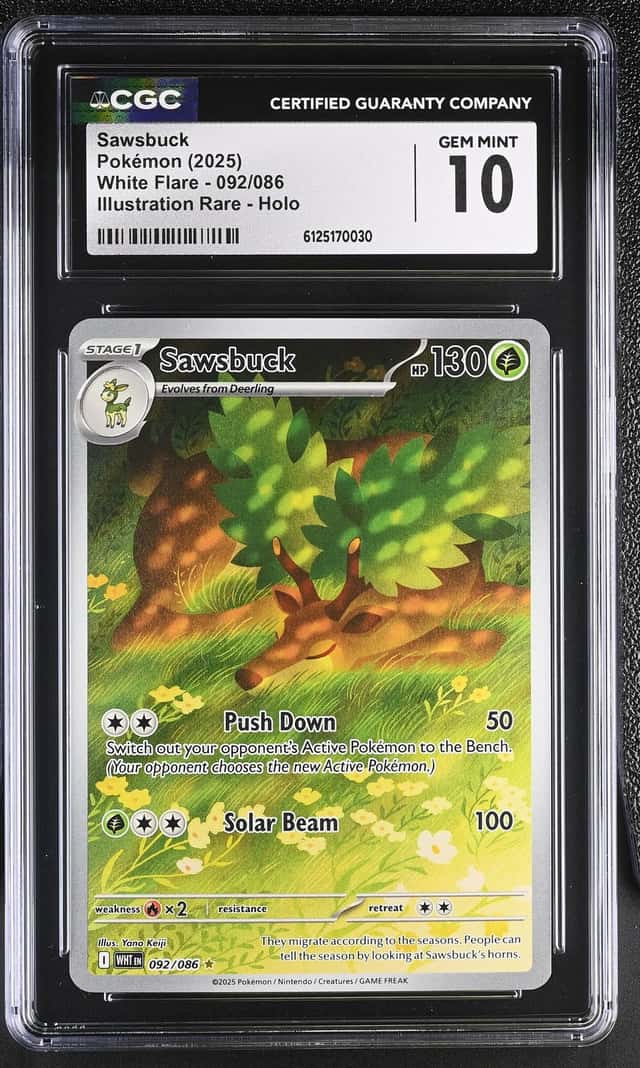 Sawsbuck