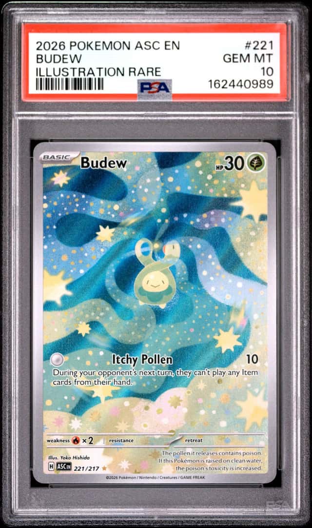 Budew