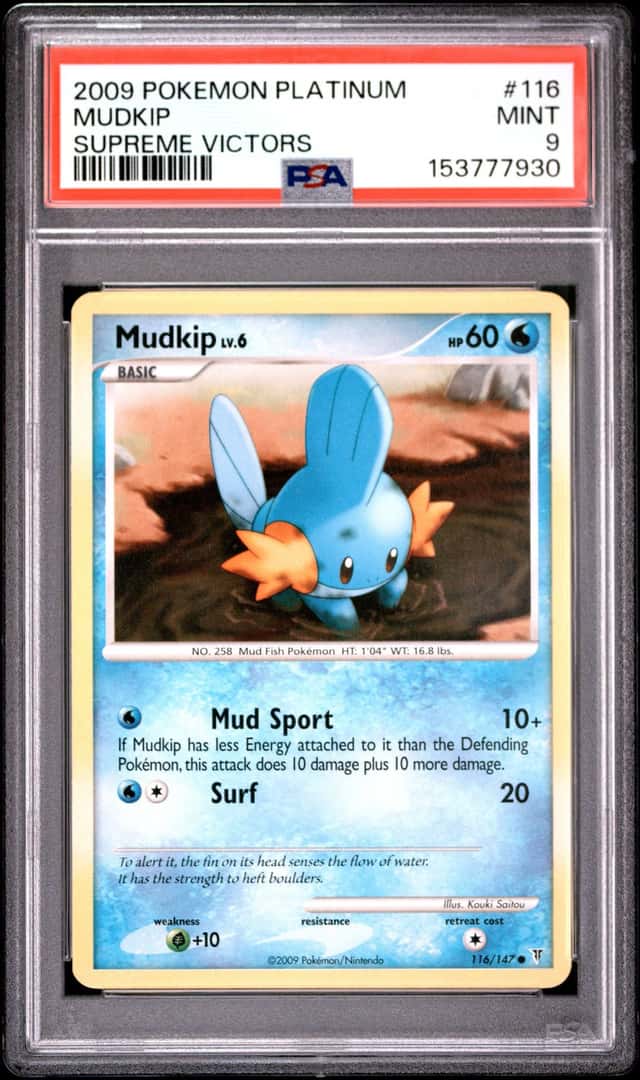 Mudkip