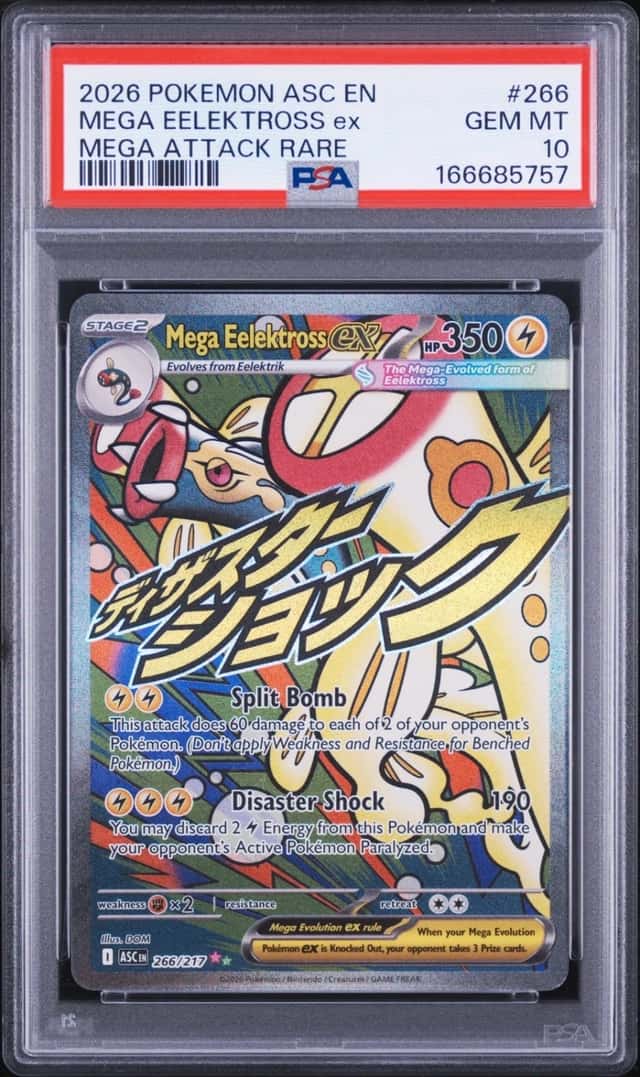 MEGA EELEKTROSS ex
