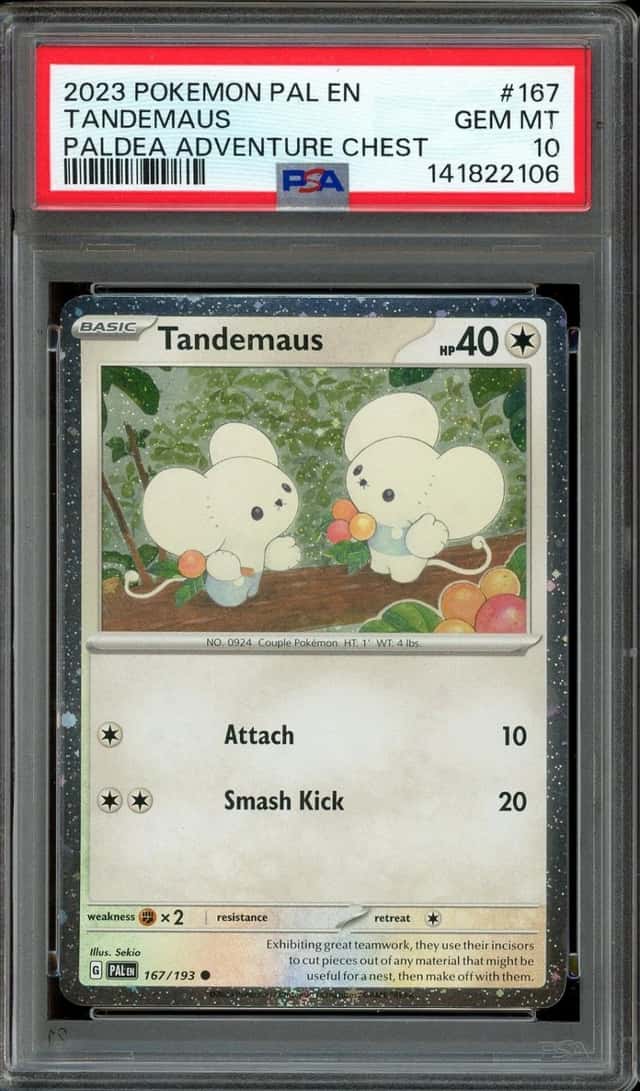 Tandemaus