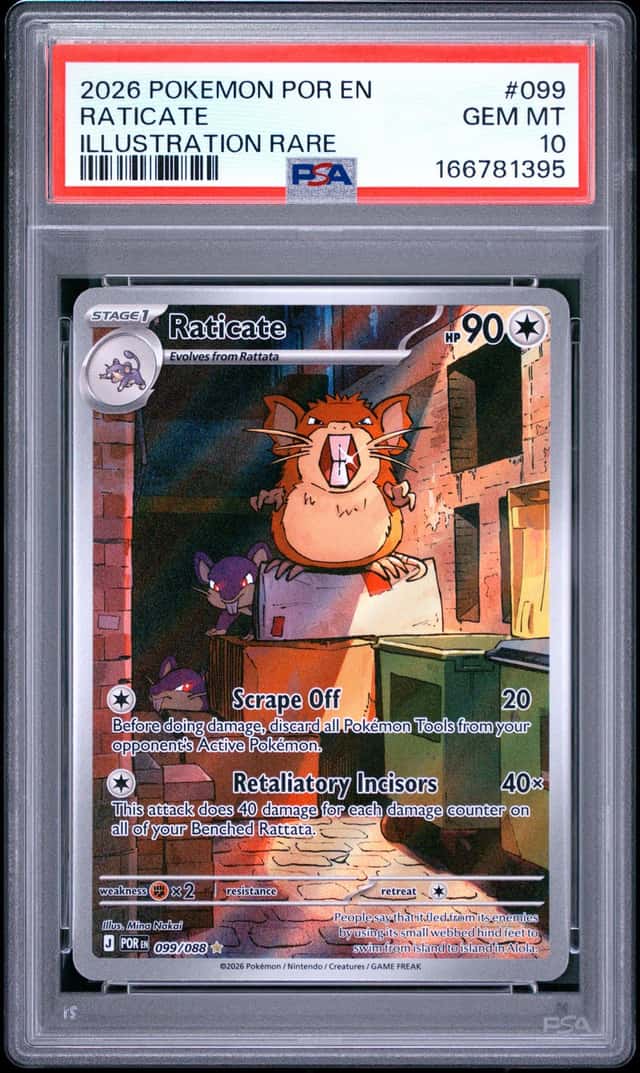 Raticate