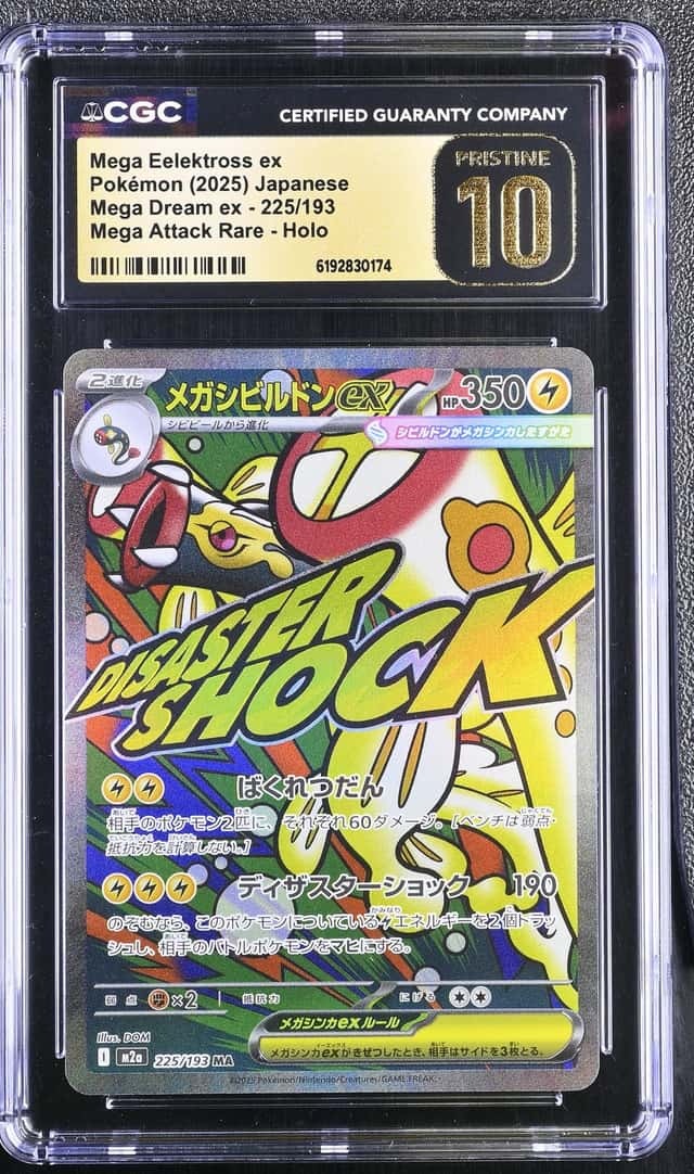MEGA EELEKTROSS ex
