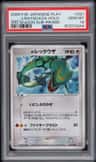 _____'S Rayquaza-Holo