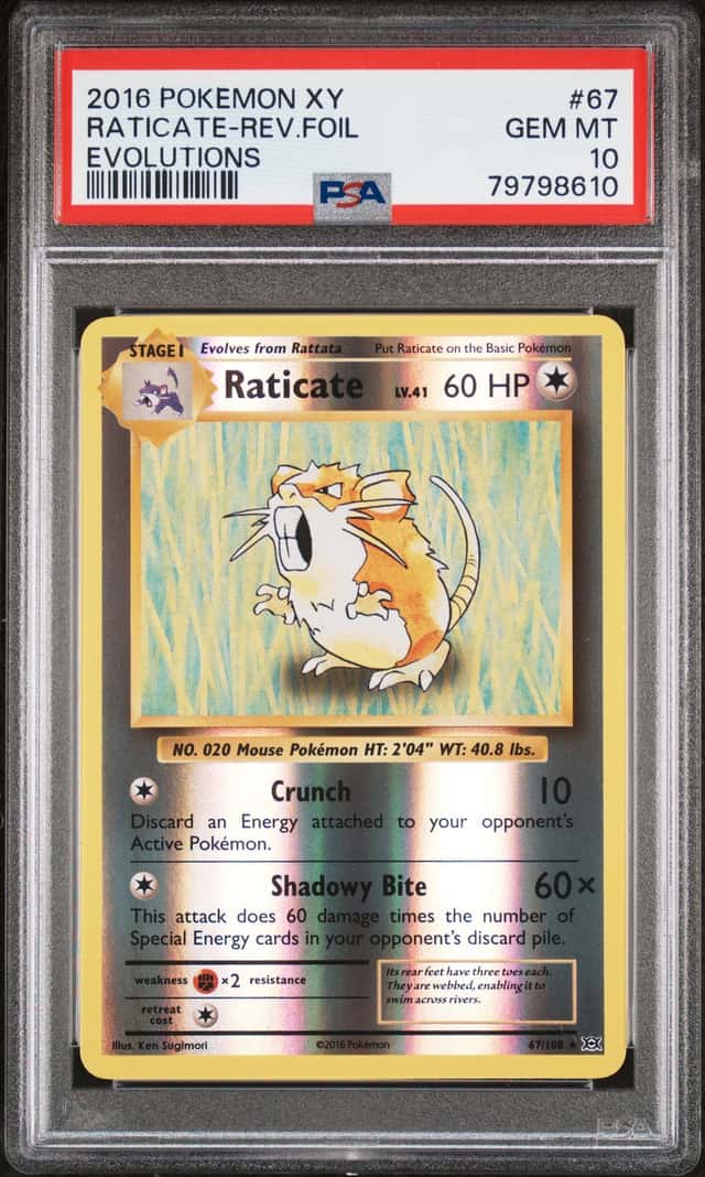 Raticate