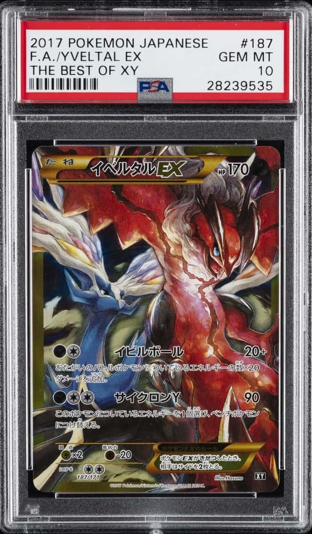 Yveltal EX