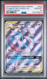 Mewtwo & Mew Gx