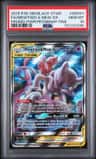 Mewtwo & Mew Gx