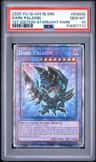 Dark Paladin