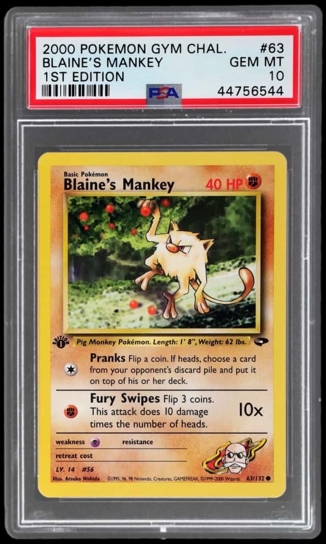 Blaine's Mankey