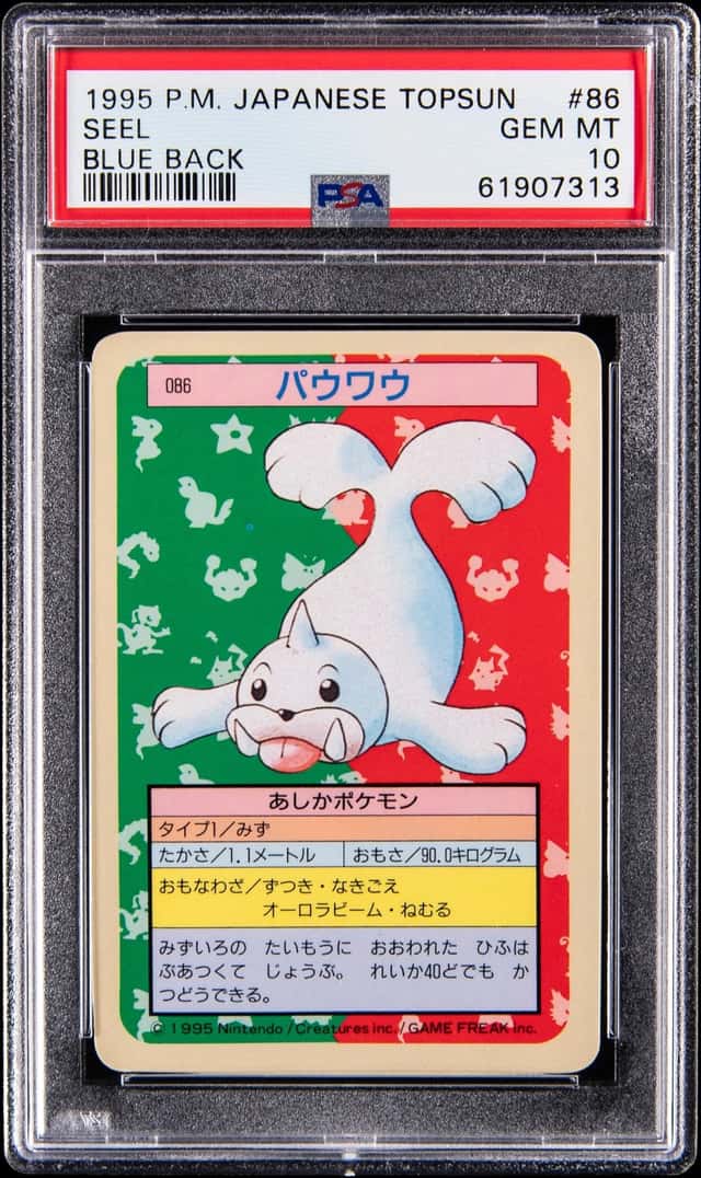 Seel
