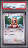 Bidoof