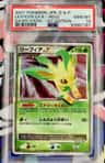 Leafeon Lv X
