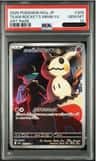 Team Rocket'S Mimikyu
