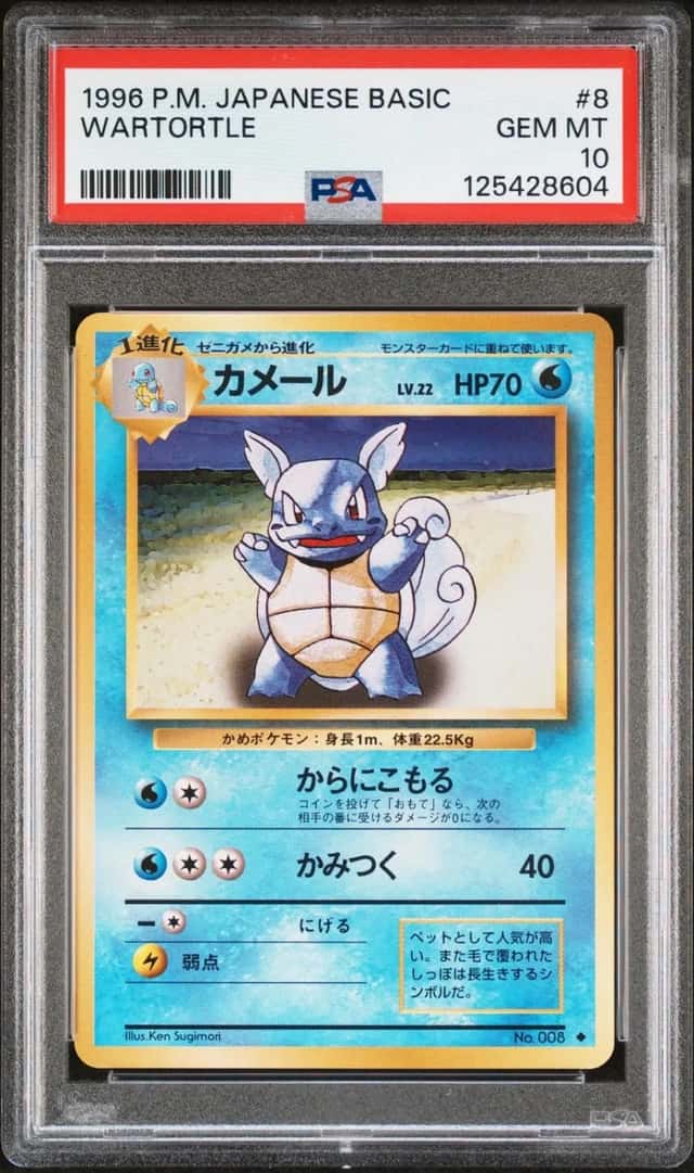 Wartortle