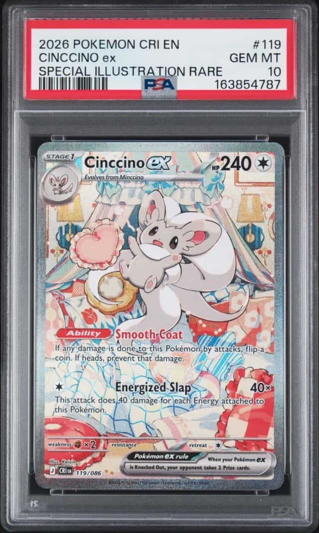 CINCCINO ex