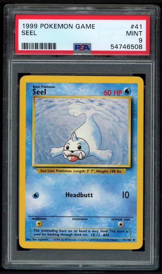 Seel