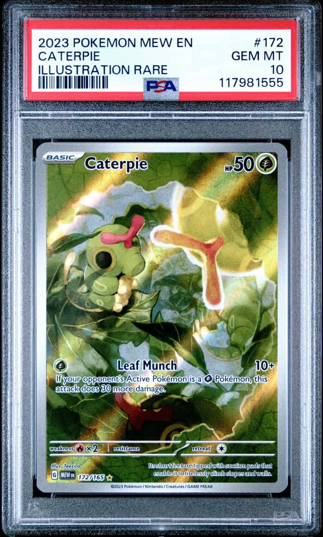 Caterpie