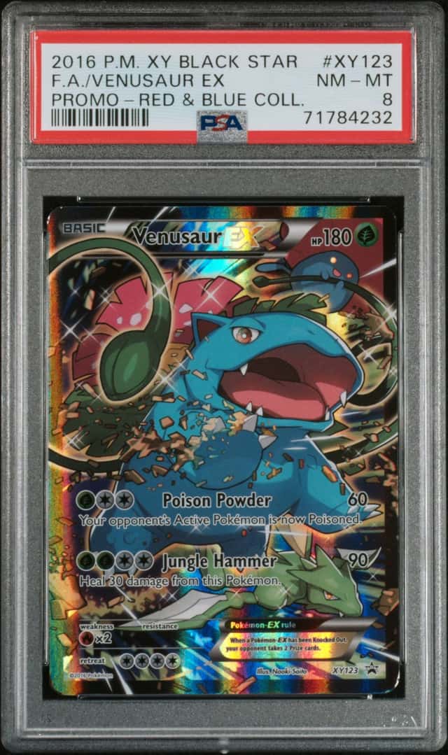 Venusaur EX